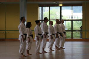 IMG 7788