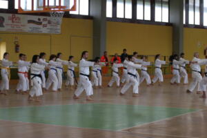 IMG 7792