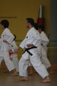 IMG 7818