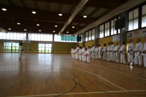 IMG 7823