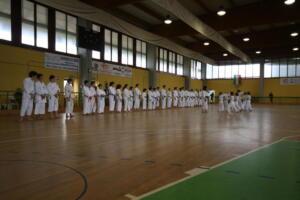 IMG 7826