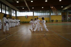 IMG 7827